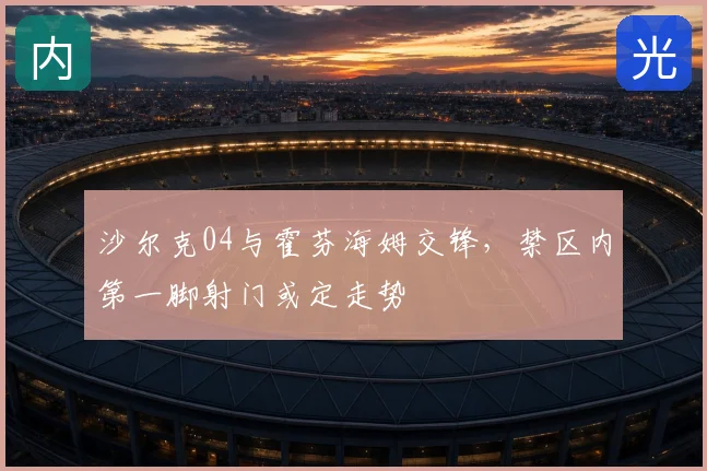沙尔克04与霍芬海姆交锋,禁区内第一脚射门或定走势